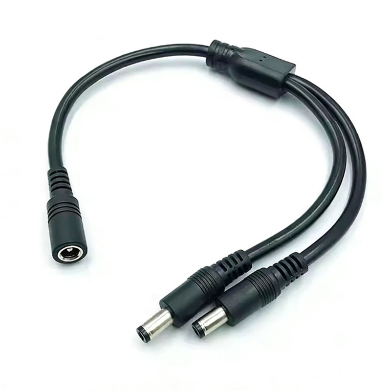 1PC DC 5.5mm * 2.1mm 1 Naar 2  - Led El Wire recensie en prijs